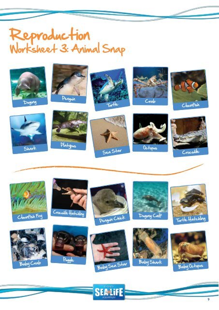 Teacher's Resource Pack - Sydney Aquarium