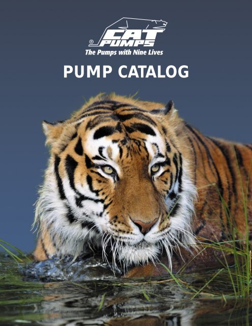 CAT PUMPS triplex piston and plunger Pump Catalog - The Export ...