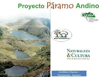 PRESENTACION PERU.pdf - Condesan