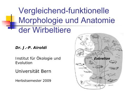 Vergleichend-funktionelle Morphologie und Anatomie der Wirbeltiere