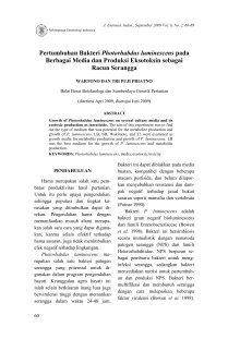 Eksotoksin Magazines Eksotoksin Magazines