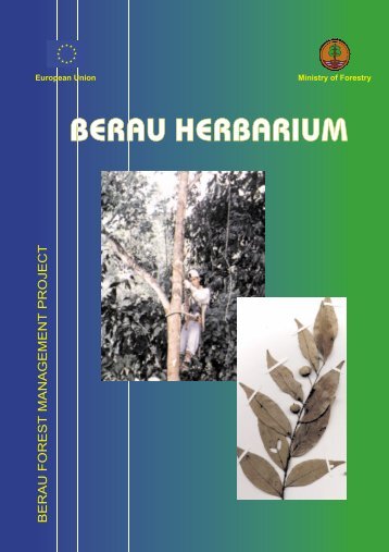 BERAU HERBARIUM