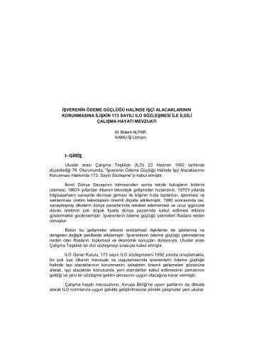 I- GİRİŞ