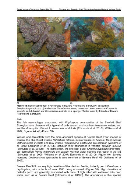 parks victoria technical series marine natural values study vol 2 ...