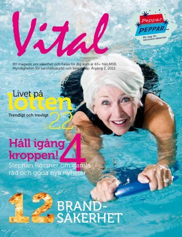 Vital 2012 - DinSÃ¤kerhet.se