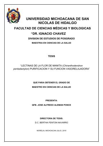 Diploma puc minas