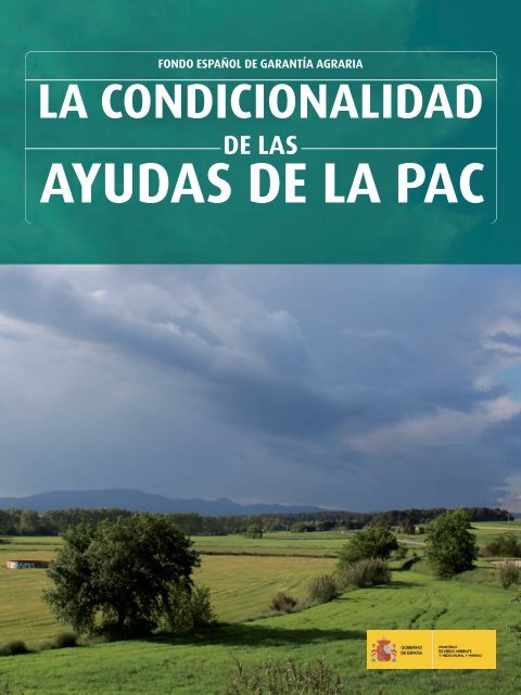 cumulus en español