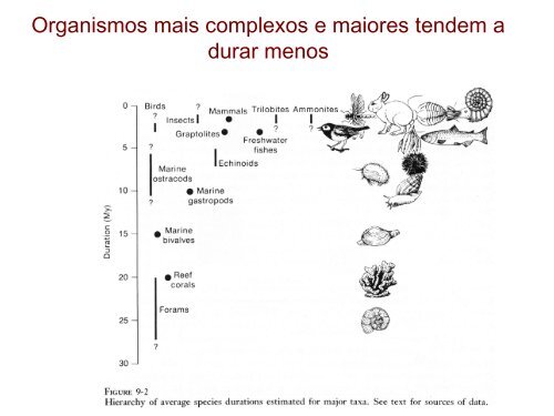 Aula 6