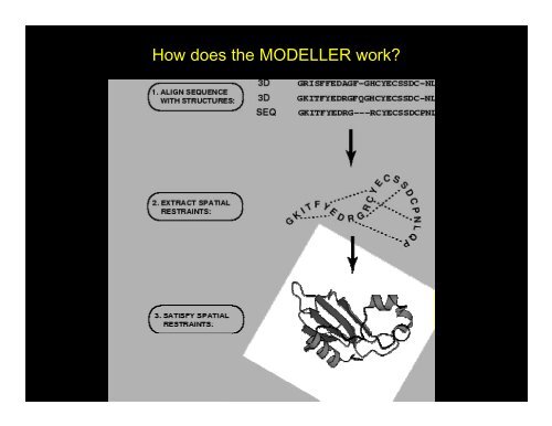 MODELLER - Computational Biology Service Unit (CBSU)