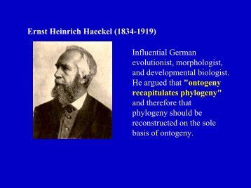 Ernst Heinrich Haeckel (1834-1919) Influential German evolutionist ...