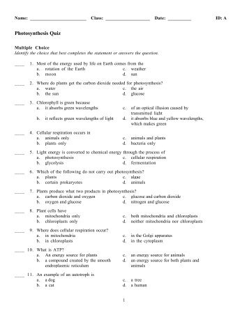 photosynthesis quiz.pdf