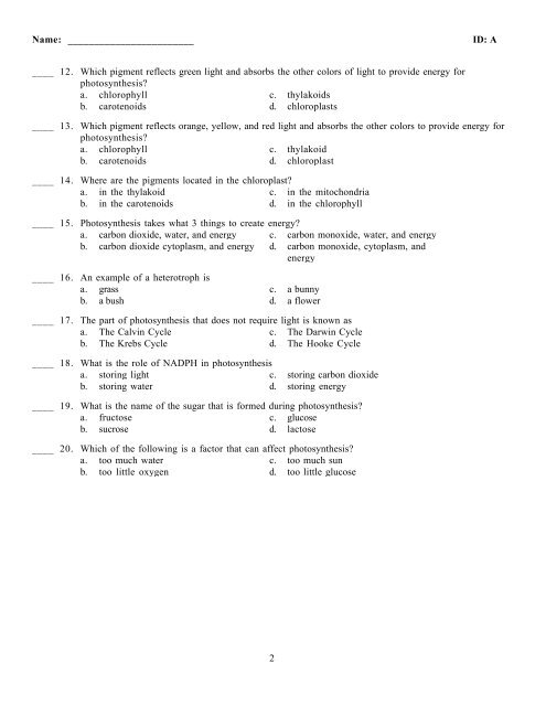 photosynthesis quiz.pdf
