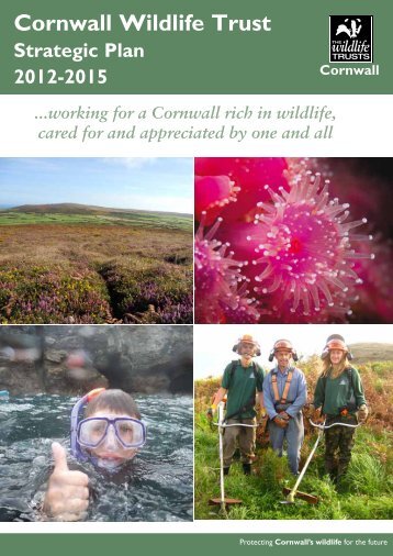 2. Cornwall Wildlife Trust - an overview