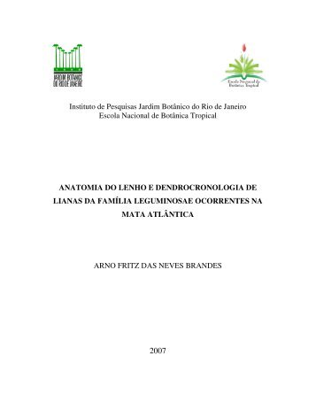 anatomia do lenho e dendrocronologia de lianas da famÃ­lia ...