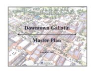 Downtown Master Plan TAPA Presentation - City of Gallatin