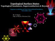 Topological Surface States - Materials Theory Institute