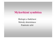 mykorrhizní symbióza - Mykologie