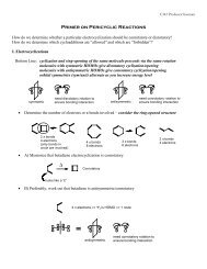 Primer on Pericyclic Reactions