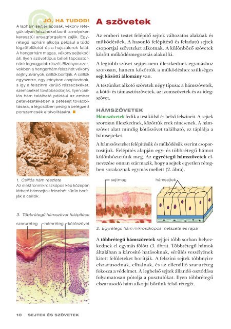 BiolÃ³gia 8. tankÃ¶nyv 10-14. oldal