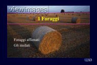 I Foraggi