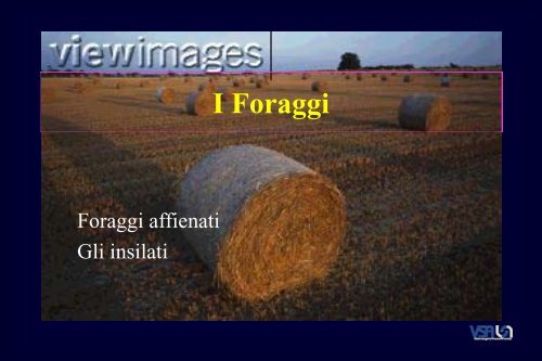 I Foraggi