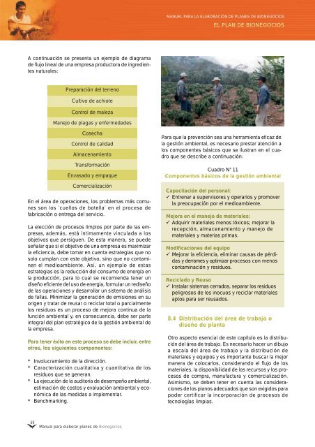 Manual para elaborar planes de Bionegocios - CDAM