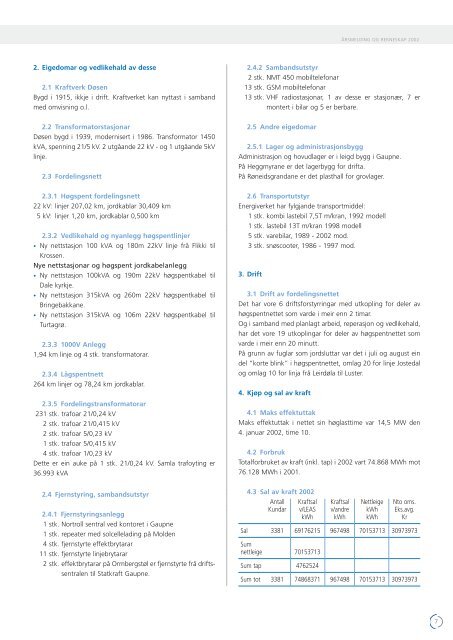 Ãrsmelding for 2002 - Luster Energiverk