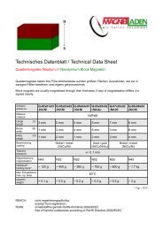Technisches Datenblatt / Technical Data Sheet - Magnetladen