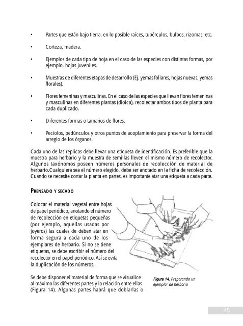 manual de recolecciÃ³n de semillas de plantas silvestres para ... - Inia