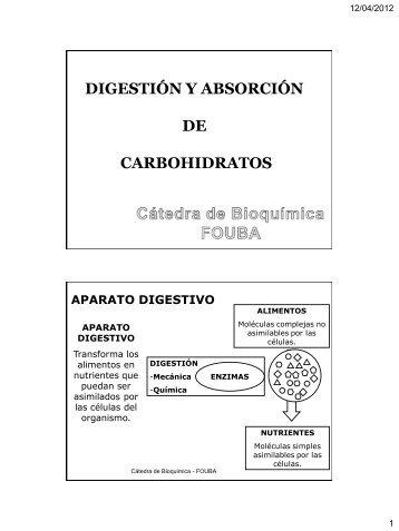 DigestiÃ³n y AbsorciÃ³n de Carbohidratos