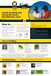 PDF: Canola Scouting and Sweep Net Insect ... - SaskCanola