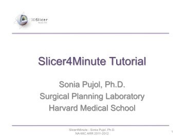 Slicer4Minute tutorial - 3D Slicer
