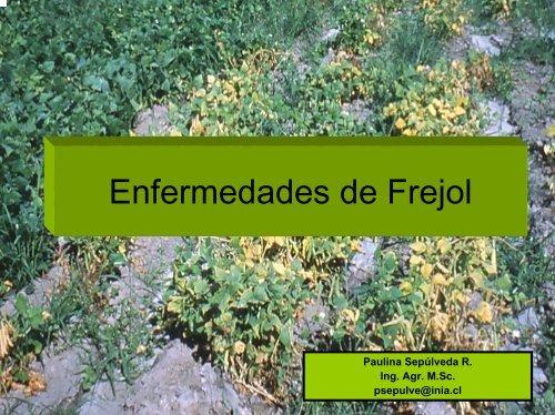 Enfermedades de Frejol - Platina - INIA