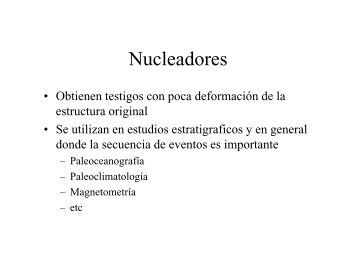 Nucleadores