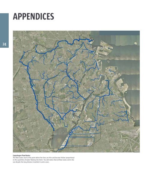 Cloudburst Management Plan - Climate Change Adaptation