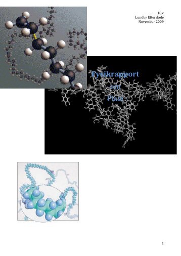 Fysikrapport om Plast