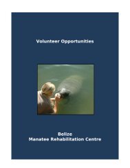 Volunteer Opportunities Belize Manatee Rehabilitation Centre