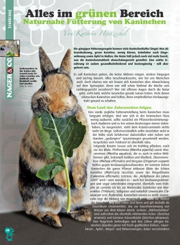 Kaninchenernährung - Kathrin Hentzschel