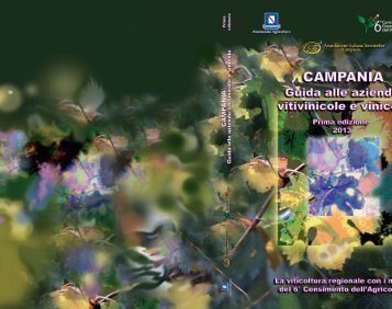 Scarica il file del volume - Regione Campania