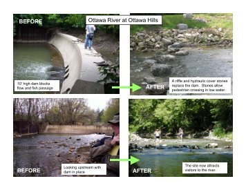 Ottawa River & Swan Creek Project Comparison