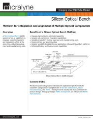 Silicon Optical Bench - Micralyne