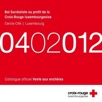 icons - Croix-Rouge luxembourgeoise