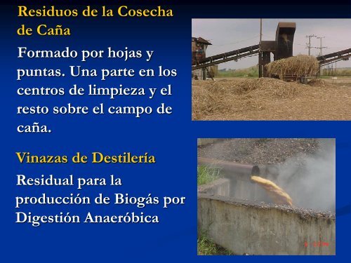 BIOCOMBUSTIBLES, CUBA