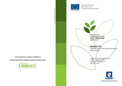 scarica piano esecutivo forestazione