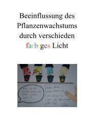 Licht und Pflanzen (pdf)