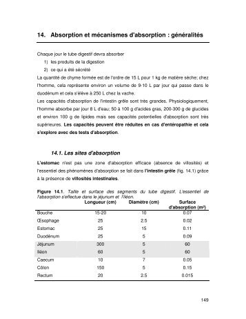 14. Absorption et mÃ©canismes d'absorption ... - Physiologie ENVT