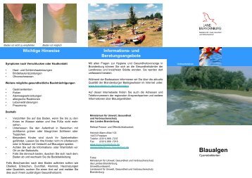 Faltblatt: Blaualgen - Cyanobakterien - LUGV