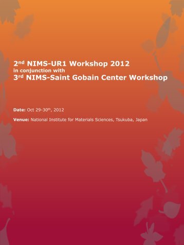 2nd NIMS-UR1 Workshop 2012 - Institut des Sciences Chimiques ...