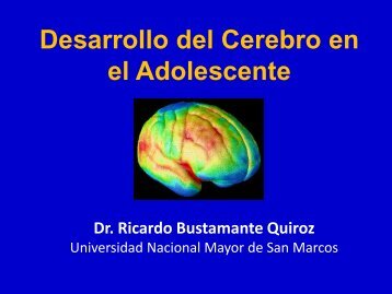 El desarrollo del cerebro en el adolescente