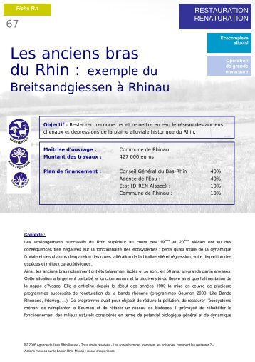 Les anciens bras du Rhin : exemple du - Agence de l'Eau Rhin-Meuse